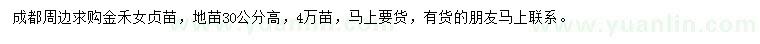 求購(gòu)高30公分金禾女貞