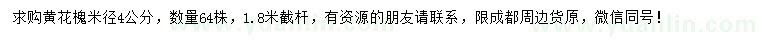 求購(gòu)米徑4公分黃花槐