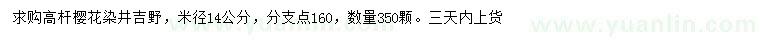 求購米徑14公分染井吉野櫻