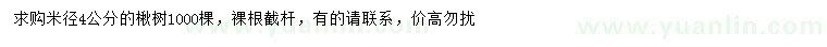 求購米徑4公分楸樹