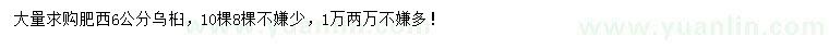 求購6公分烏桕