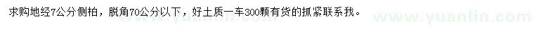 求購(gòu)地徑7公分側(cè)柏