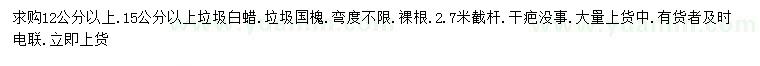 求購12、15公分以上白蠟、國槐