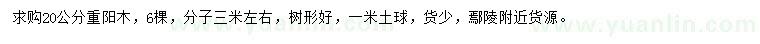 求購20公分重陽木