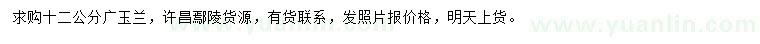 求購12公分廣玉蘭