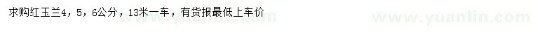 求購4、5、6公分紅玉蘭