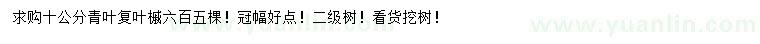 求購(gòu)10公分青葉復(fù)葉槭