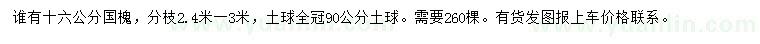 求購16公分國槐