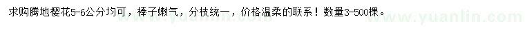 求購5-6公分櫻花
