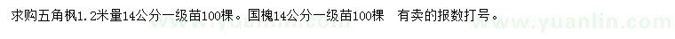 求購(gòu)1.2米量14公分五角楓、14公分國(guó)槐