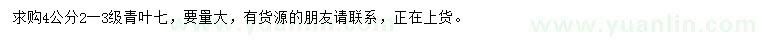 求購4公分青葉槭