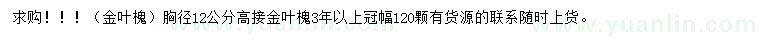 求購胸徑12公分高接金葉槐