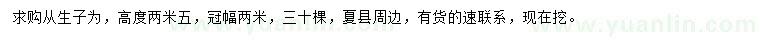 求購(gòu)高2.5米從生紫薇