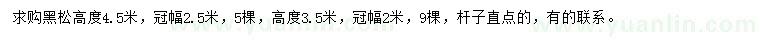 求購高3.5、4.5米黑松