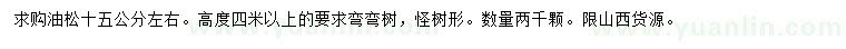 求購15公分左右油松
