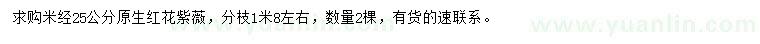 求購米徑25公分紅花紫薇