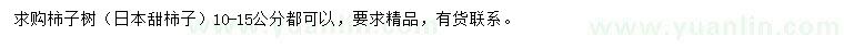求購10-15公分日本甜柿