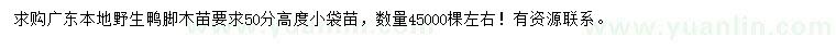 求購高50公分鴨腳木
