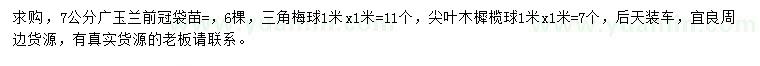 求購廣玉蘭、三角梅球、尖葉木樨欖球