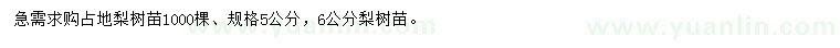 求購5、6公分梨樹