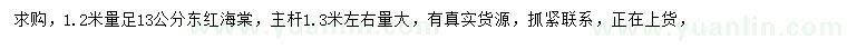 求購1.2米量13公分東紅海棠