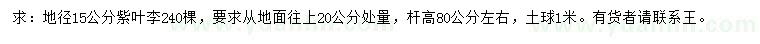 求購地徑15公分紫葉李