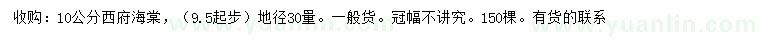 求購30量9.5起步10公分西府海棠