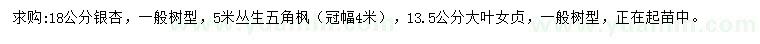 求購(gòu)銀杏、叢生五角楓、大葉女貞