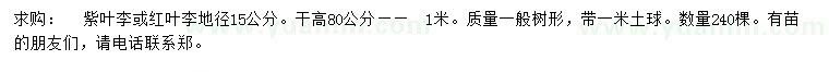 求購地徑15公分紫葉李、紅葉李