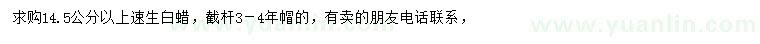 求購14.5公分以上速生白蠟