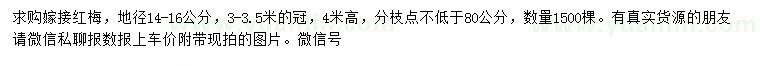 求購地徑14-16公分紅梅