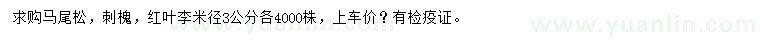 求購馬尾松、刺槐、紅葉李