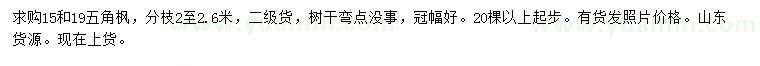 求購15、19公分五角楓