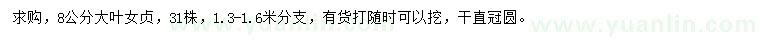 求購8公分大葉女貞