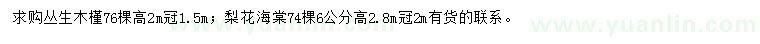 求購高2米叢生木槿、6公分梨花海棠