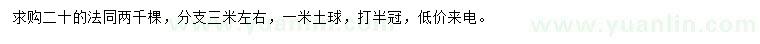求購(gòu)20公分法桐