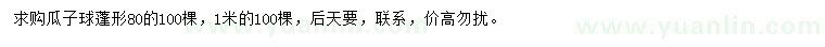 求購(gòu)蓬形80公分、1米瓜子球