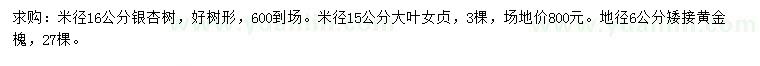 求購(gòu)銀杏、大葉女貞、黃金槐