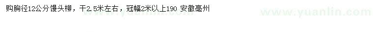 求購胸徑12公分饅頭柳