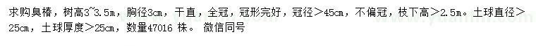 求購胸徑3公分臭椿