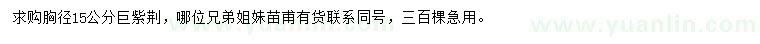 求購胸徑15公分巨紫荊