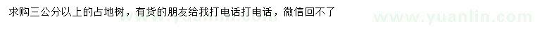 求購3公分以上占地樹
