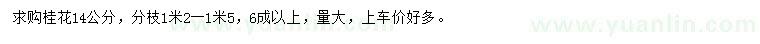 求購(gòu)14公分桂花
