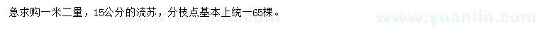 求購1.2米量15公分流蘇
