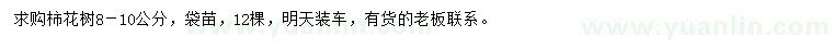 求購8-10公分柿花樹