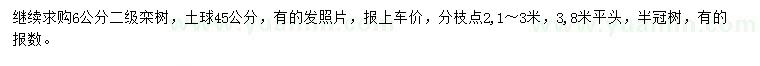 求購6公分欒樹