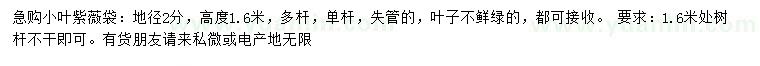 求購地徑2公分小葉紫薇