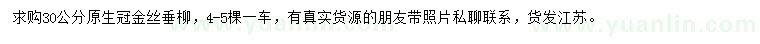 求購30公分金絲垂柳