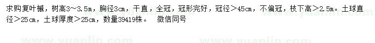 求購胸徑3公分復(fù)葉槭
