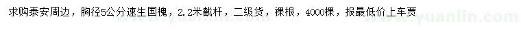 求購胸徑5公分速生國槐